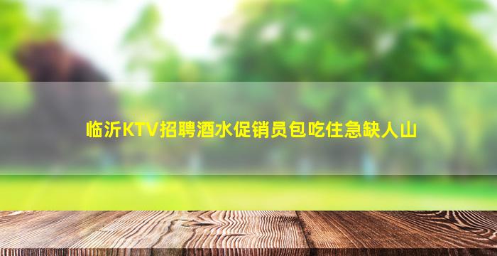 临沂KTV招聘酒水促销员包吃住急缺人山